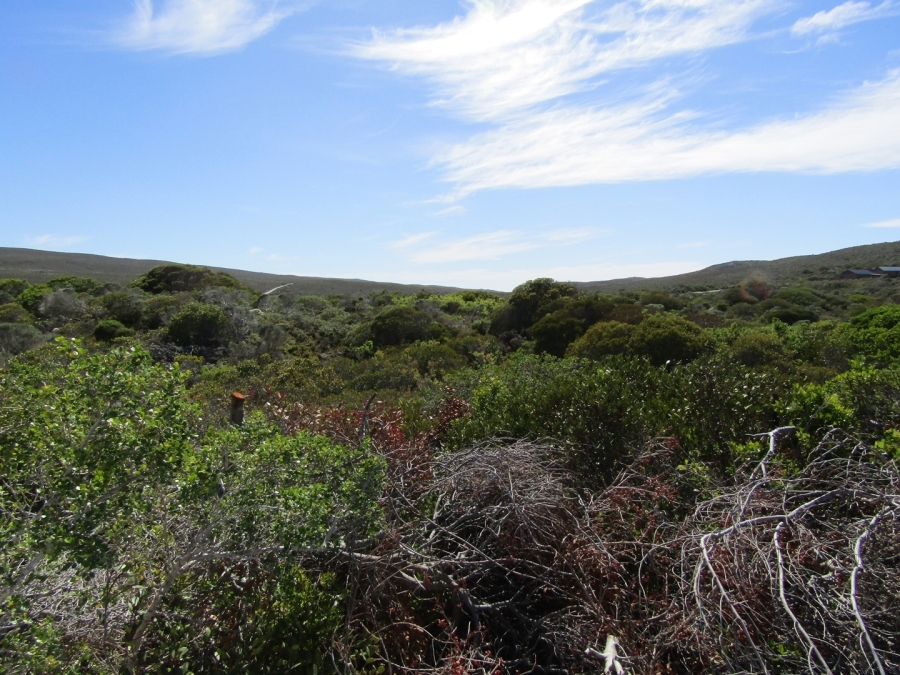 0 Bedroom Property for Sale in Suiderstrand Western Cape